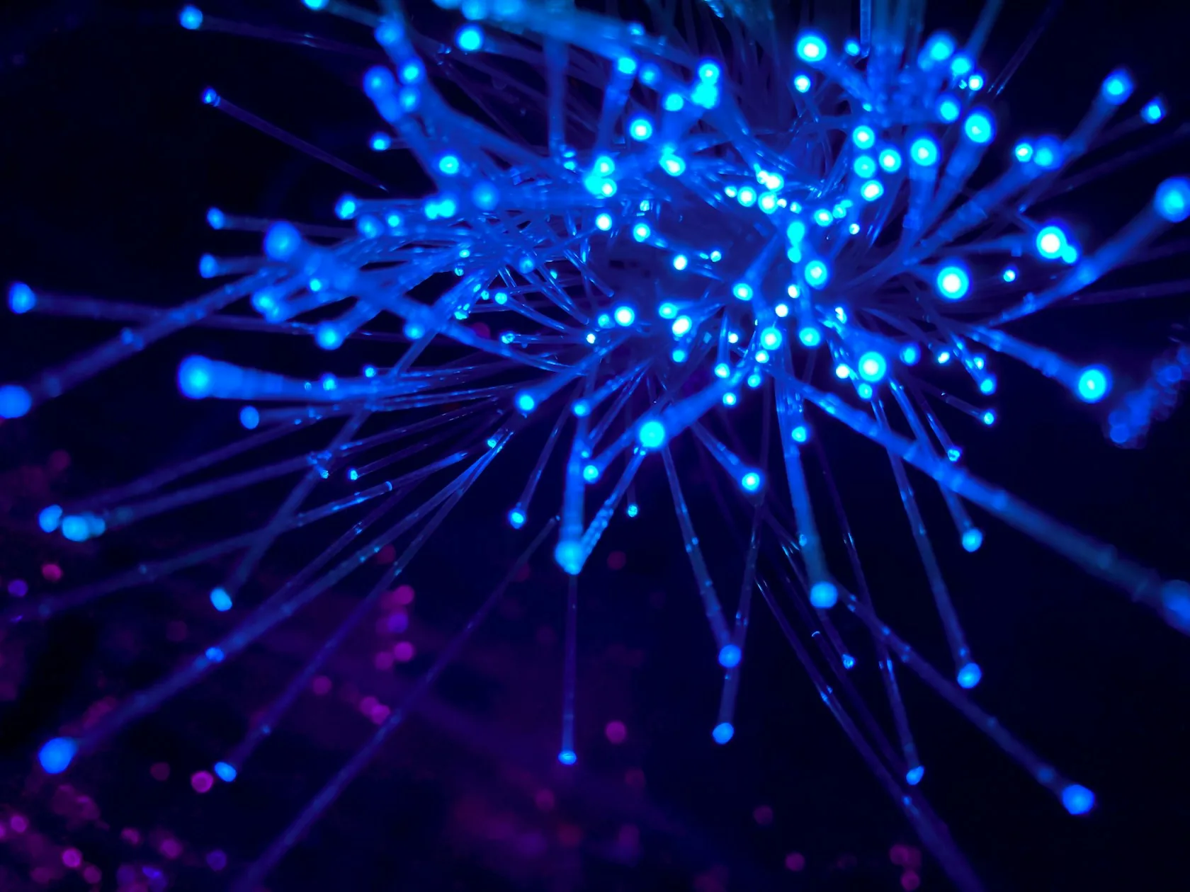 Illuminated fibre-optic strands carrying international voice traffic
